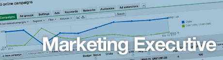 Marketing Executive